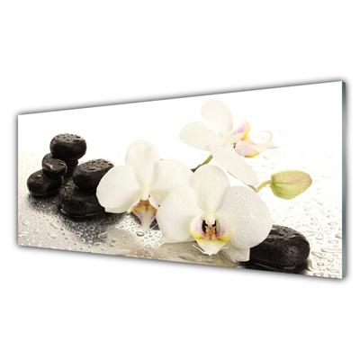 Panneaux de cuisine en verre Pierres fleurs floral blanc noir