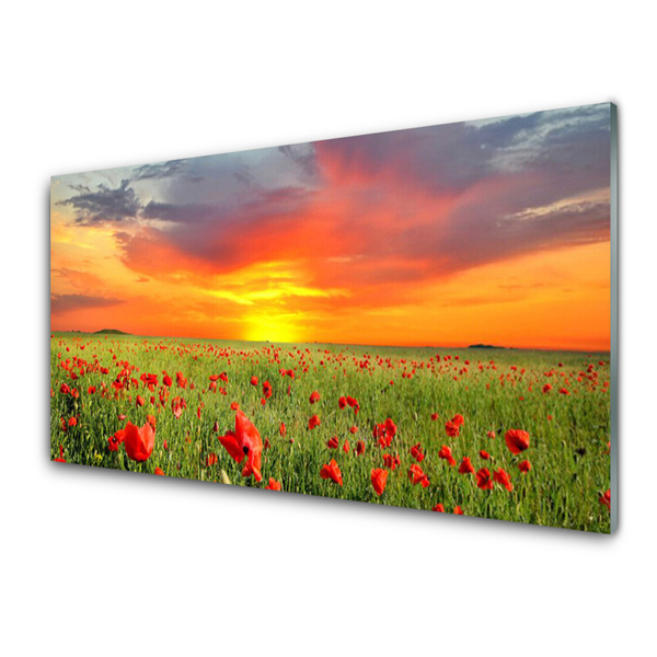 Panneaux de cuisine en verre Coquelicots soleil nature rouge vert jaune gris