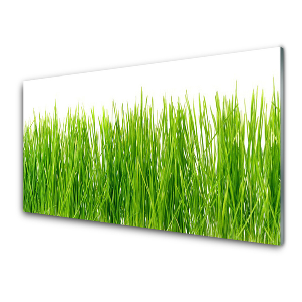 Panneaux de cuisine en verre Herbe nature vert