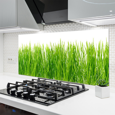 Panneaux de cuisine en verre Herbe nature vert