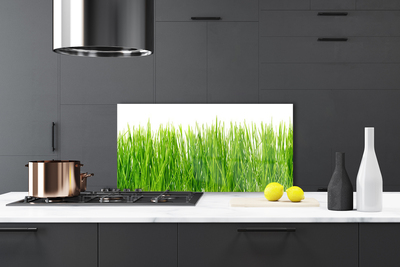 Panneaux de cuisine en verre Herbe nature vert