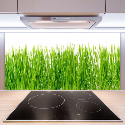 Panneaux de cuisine en verre Herbe nature vert