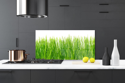 Panneaux de cuisine en verre Herbe nature vert