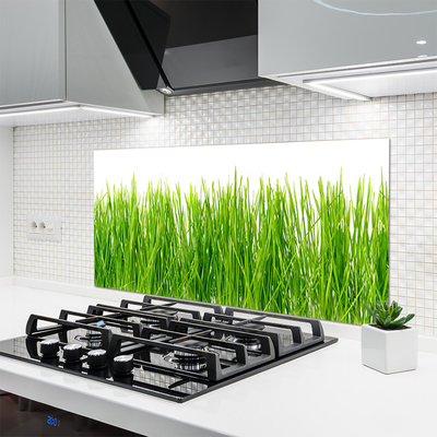 Panneaux de cuisine en verre Herbe nature vert