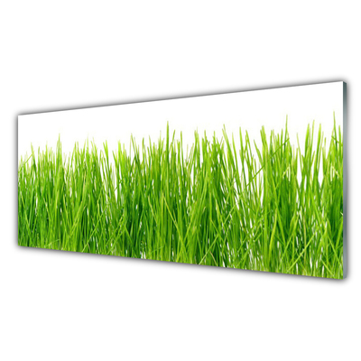 Panneaux de cuisine en verre Herbe nature vert