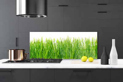 Panneaux de cuisine en verre Herbe nature vert