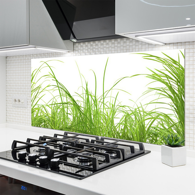 Panneaux de cuisine en verre Herbe nature vert