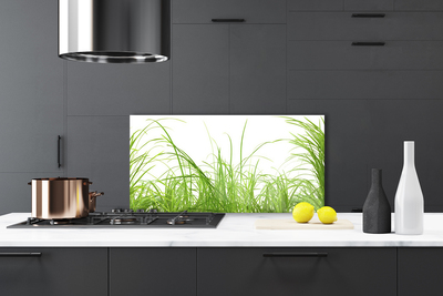 Panneaux de cuisine en verre Herbe nature vert