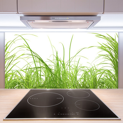 Panneaux de cuisine en verre Herbe nature vert