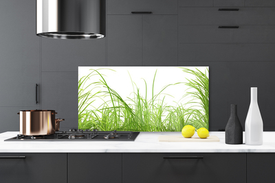 Panneaux de cuisine en verre Herbe nature vert