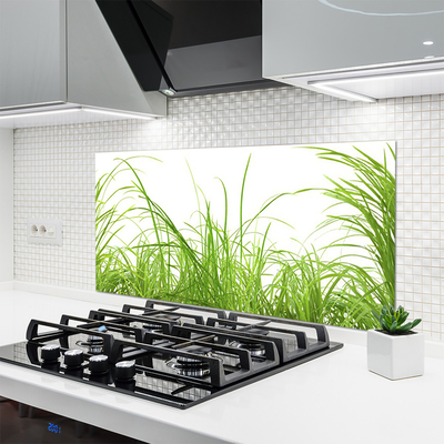 Panneaux de cuisine en verre Herbe nature vert