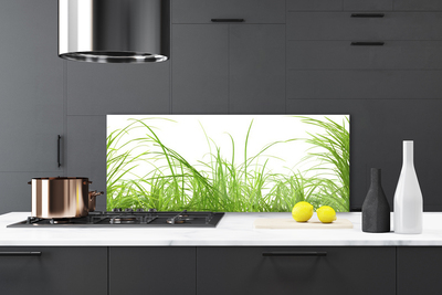 Panneaux de cuisine en verre Herbe nature vert