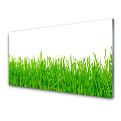 Panneaux de cuisine en verre Herbe nature vert