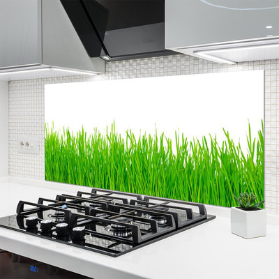 Panneaux de cuisine en verre Herbe nature vert