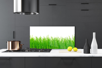 Panneaux de cuisine en verre Herbe nature vert