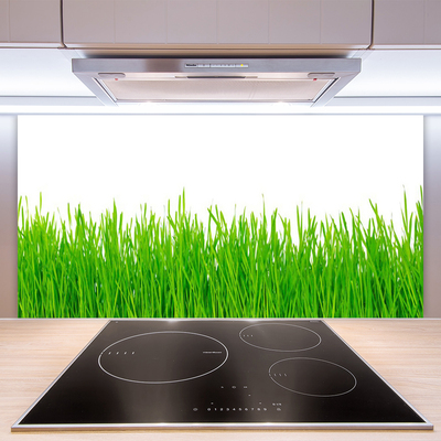 Panneaux de cuisine en verre Herbe nature vert