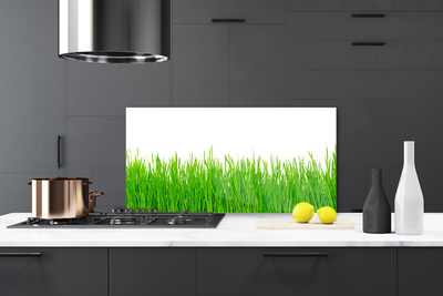 Panneaux de cuisine en verre Herbe nature vert