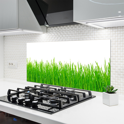 Panneaux de cuisine en verre Herbe nature vert