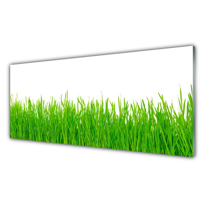 Panneaux de cuisine en verre Herbe nature vert