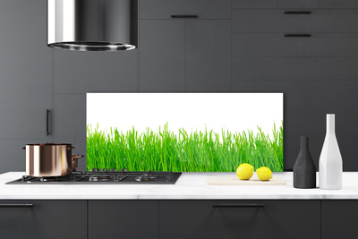 Panneaux de cuisine en verre Herbe nature vert