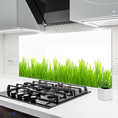 Panneaux de cuisine en verre Herbe nature vert