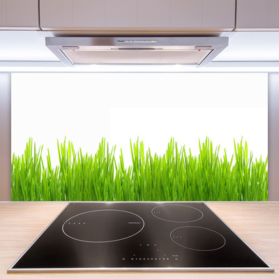 Panneaux de cuisine en verre Herbe nature vert