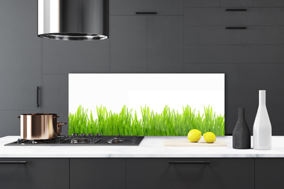 Panneaux de cuisine en verre Herbe nature vert