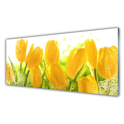 Panneaux de cuisine en verre Tulipes floral jaune vert