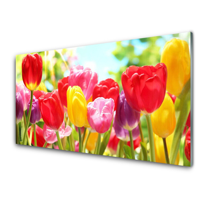 Panneaux de cuisine en verre Tulipes floral rouge jaune