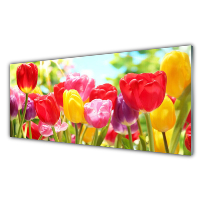 Panneaux de cuisine en verre Tulipes floral rouge jaune