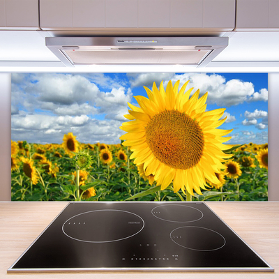 Panneaux de cuisine en verre Tournesol floral jaune brun