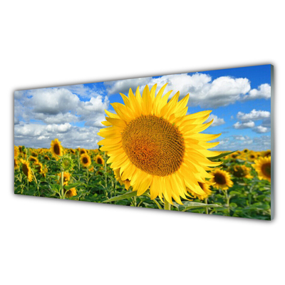 Panneaux de cuisine en verre Tournesol floral jaune brun