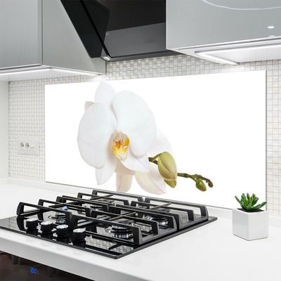 Panneaux de cuisine en verre Fleur floral blanc