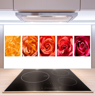 Panneaux de cuisine en verre Roses floral jaune orange rouge