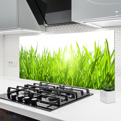 Panneaux de cuisine en verre Herbe nature vert