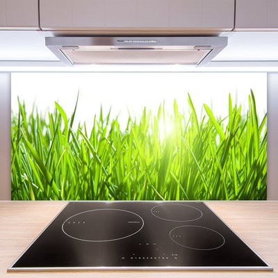 Panneaux de cuisine en verre Herbe nature vert