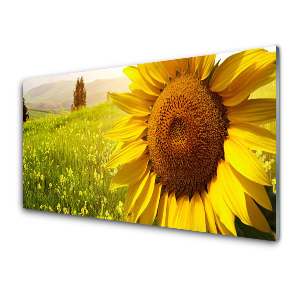 Panneaux de cuisine en verre Tournesol floral jaune brun