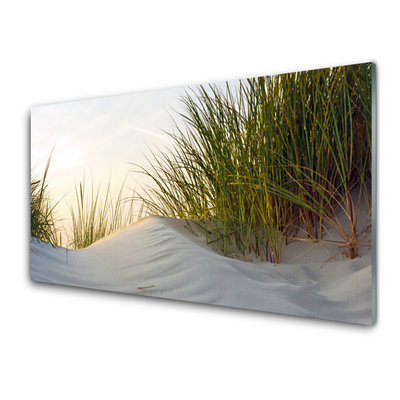 Panneaux de cuisine en verre Herbe sable paysage gris vert