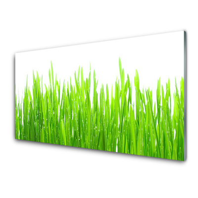 Panneaux de cuisine en verre Herbe nature vert