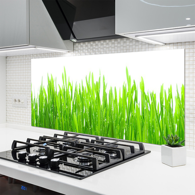 Panneaux de cuisine en verre Herbe nature vert