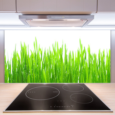 Panneaux de cuisine en verre Herbe nature vert