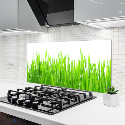 Panneaux de cuisine en verre Herbe nature vert