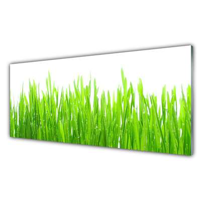 Panneaux de cuisine en verre Herbe nature vert