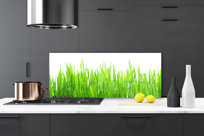 Panneaux de cuisine en verre Herbe nature vert