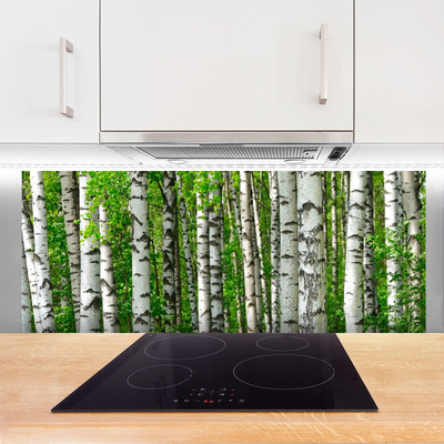 Panneaux de cuisine en verre Forêt nature noir blanc vert