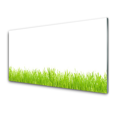 Panneaux de cuisine en verre Herbe nature vert