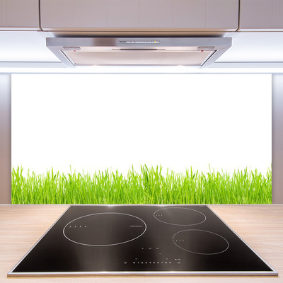 Panneaux de cuisine en verre Herbe nature vert