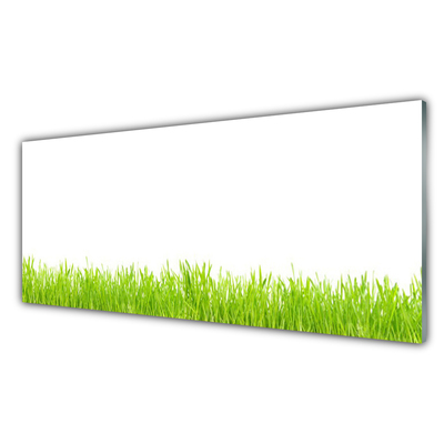 Panneaux de cuisine en verre Herbe nature vert