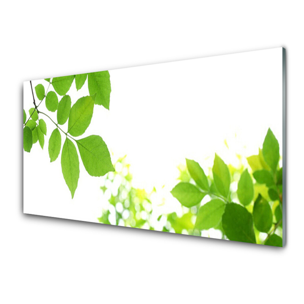 Panneaux de cuisine en verre Fleurs feuilles floral blanc vert