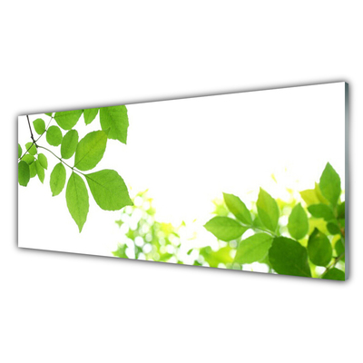 Panneaux de cuisine en verre Fleurs feuilles floral blanc vert